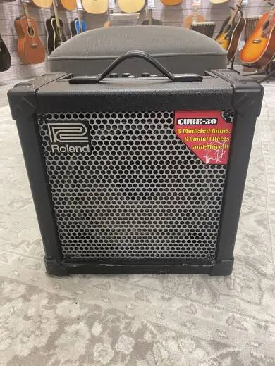 Roland Cube-30